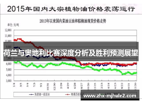 荷兰与奥地利比赛深度分析及胜利预测展望 荷兰与奥地利比赛深度分析及胜利预测展望