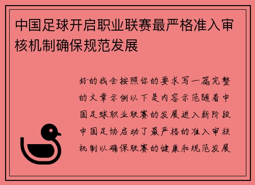 中国足球开启职业联赛最严格准入审核机制确保规范发展